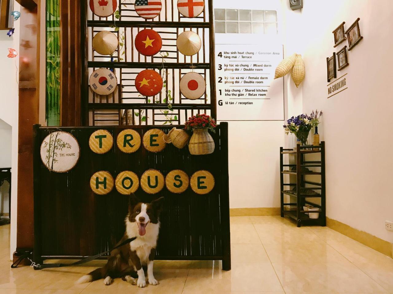 Tre House Homestayハノイ市 エクステリア 写真